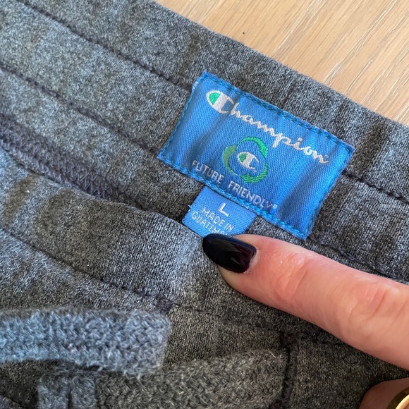 University of Michigan Champion Gray Sweatpants - Picture 5 of 10